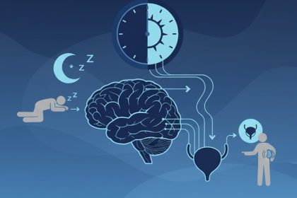 Sleep Patterns and Urinary Control