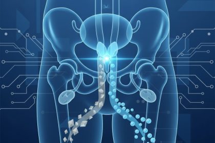 The Urethra’s Dual Role